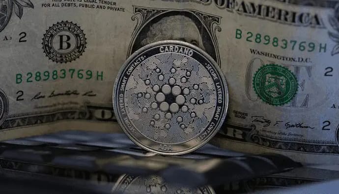 Is Cardano op dit moment extreem ondergewaardeerd?
