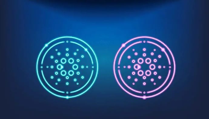 Aantal cardano wallets bereikt mijlpaal van 3 miljoen