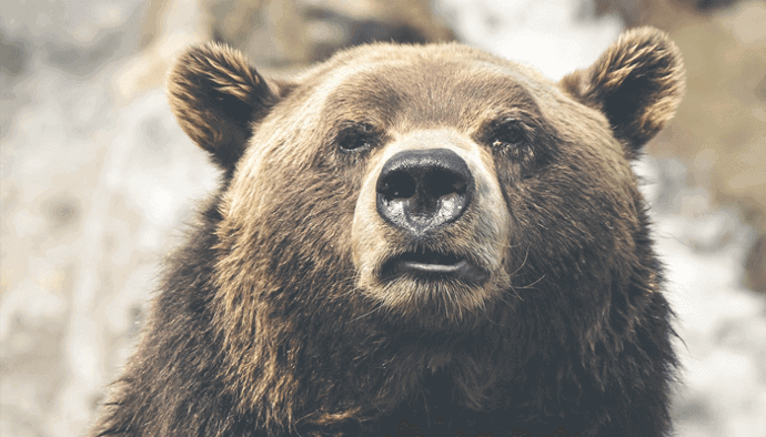 cryptocurrency_markten_dalen_met_20_tot_30_procent_nemen_bears_het_roer_over
