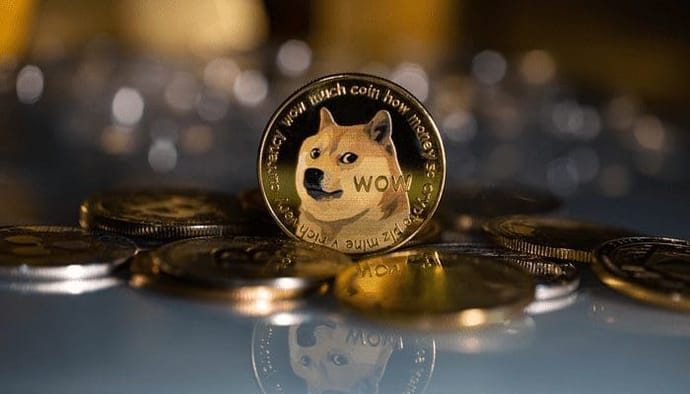 Dogecoin houders opgelet: DOGE koers kan nog eens 70% tot 90% dalen