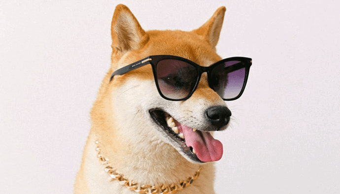 ‘Baby Doge Coin (BABYDOGE)’ stijgt met 100% na Elon Musk tweet