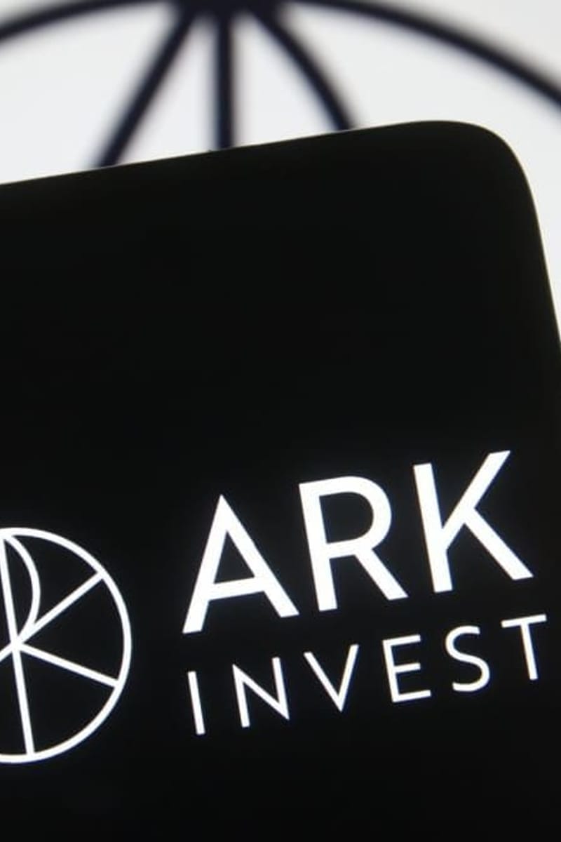 Image for the article: Ark Invest: 'grootste schoonmaak ooit schudt cryptomarkt op'