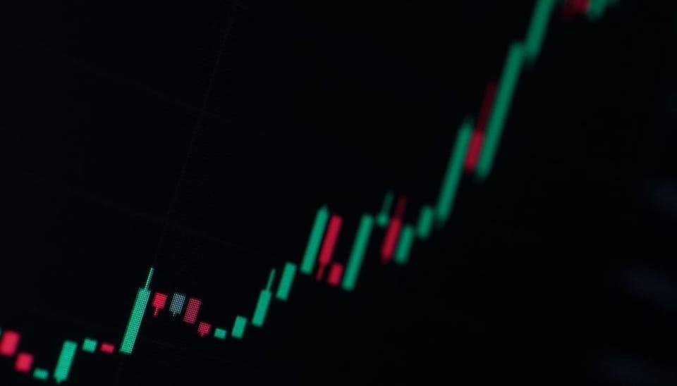 Leeuwendeel van alle bitcoin holders verwacht rooskleurige toekomst