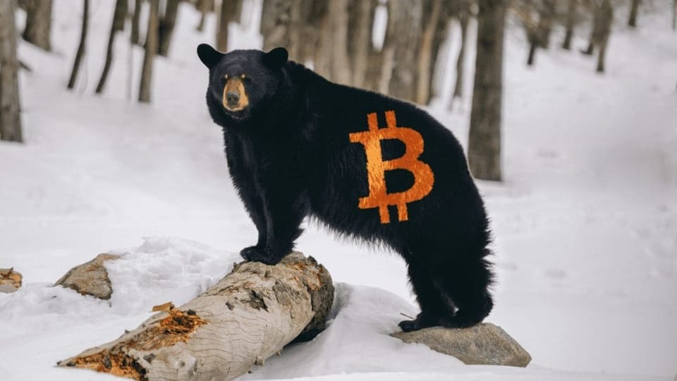 Bitcoin bear market en crypto winter
