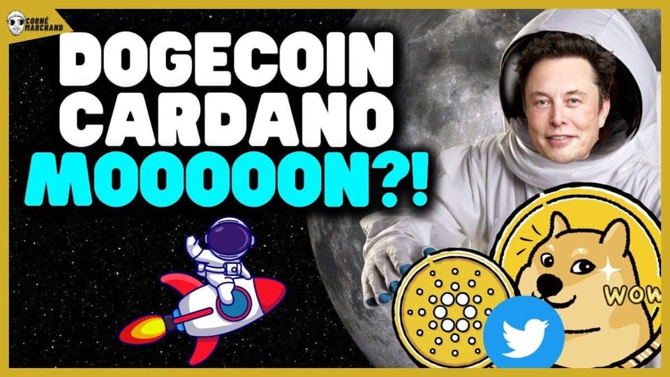 Dogecoin en cardano prijsverwachting na Twitter-overname door Elon Musk