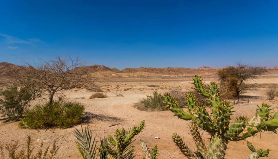 Activiteit Bitcoin netwerk droogt op: wat is de oorzaak?