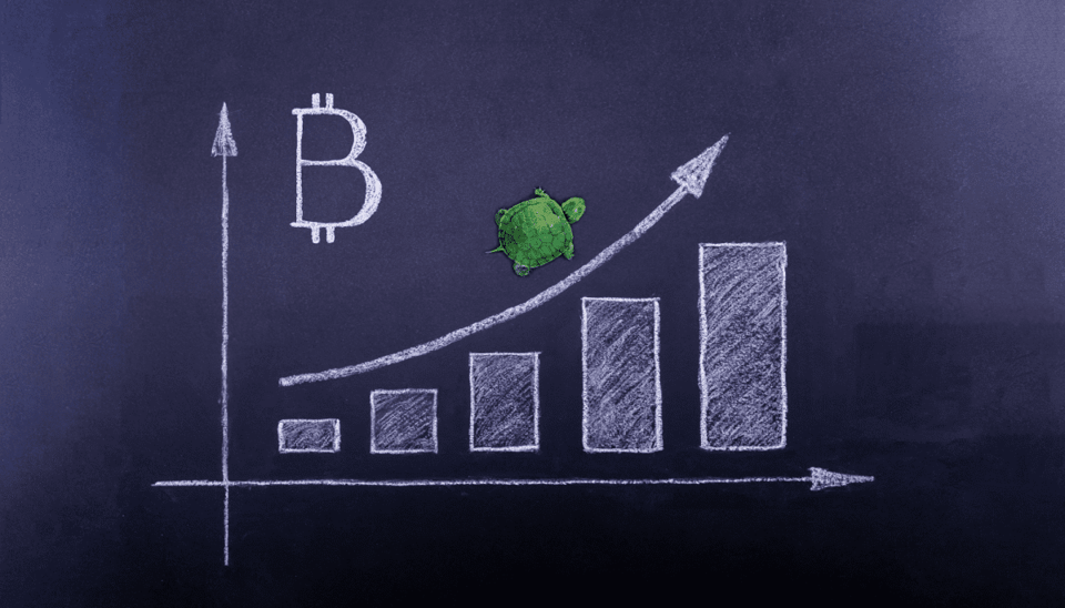 Bitcoin koers steeds stabieler door explosieve groei van ETF's