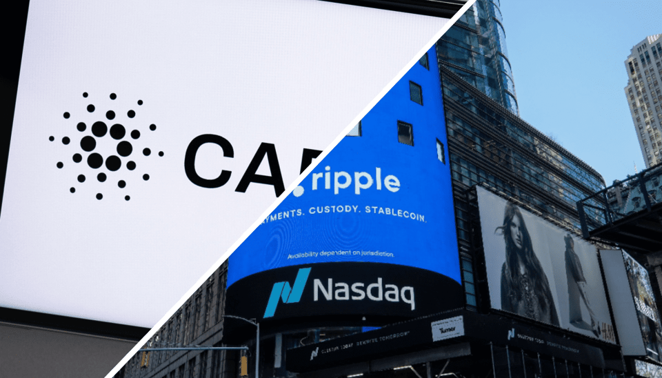Harte Kritik an XRP & Cardano: "Sie bringen dem Krypto-Sektor keinen Mehrwert"