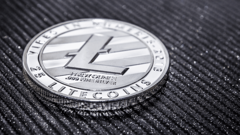 Foto van een Litecoin munt