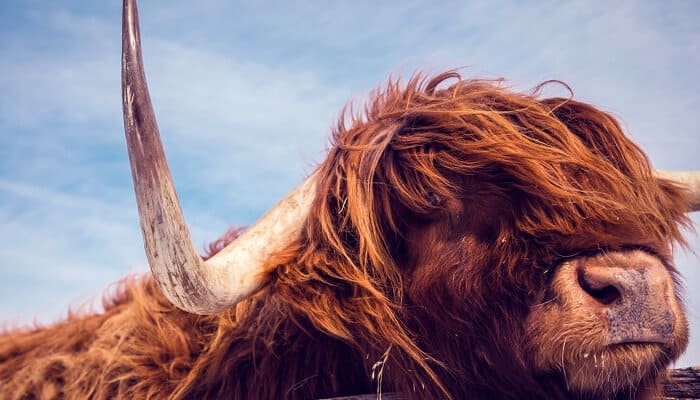 bitcoin_BTC_volumes_op_crypto_exchanges_stijgen_bullrun_aanstaande bitcoin_(BTC)_volumes_op_crypto_exchanges_stijgen_bullrun_aanstaande
