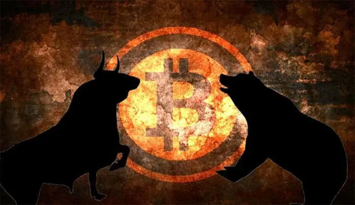 bitcoin_bull_bear bitcoin bull bear