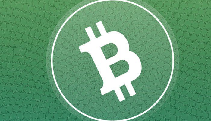 brian_kelly_crypto-burgeroorlog_bitcoin_cash_BCH_oorzaak_recente_sell-off