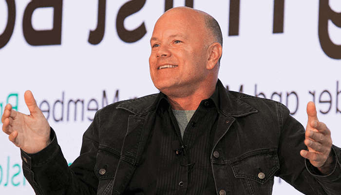 novogratz3-1 Michael Novogratz: "ik begrijp de rally van litecoin niet"