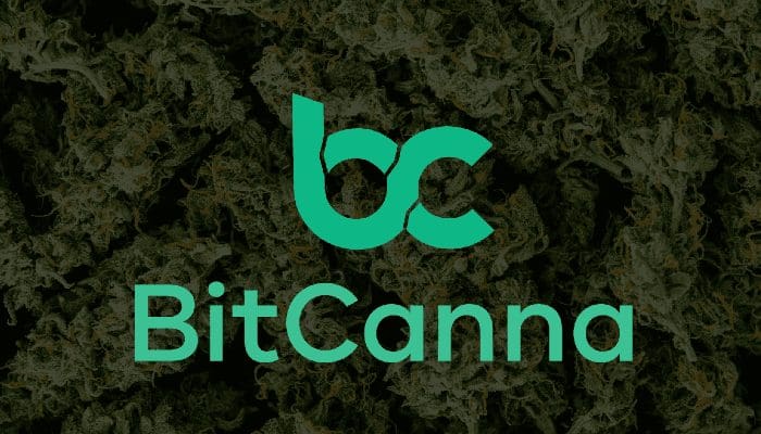 BitCanna Crypto en wiet, een ideale combo? Exclusief interview met BitCanna