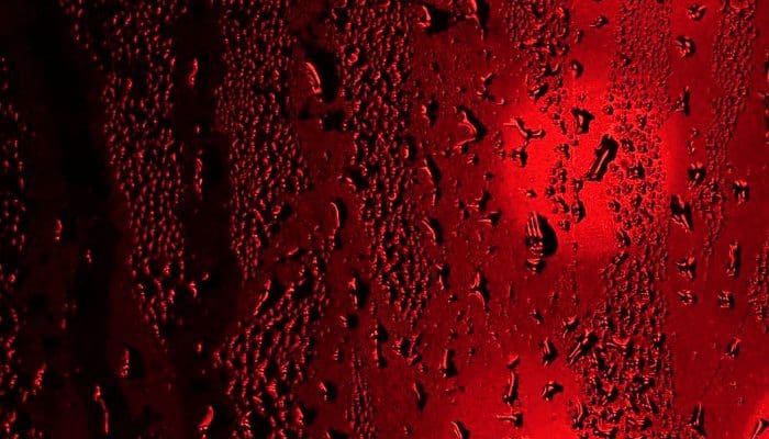 Bitcoin (BTC) koers zet daling door ondanks dit goede nieuws, dogecoin (DOGE) crasht hard in de vangrail