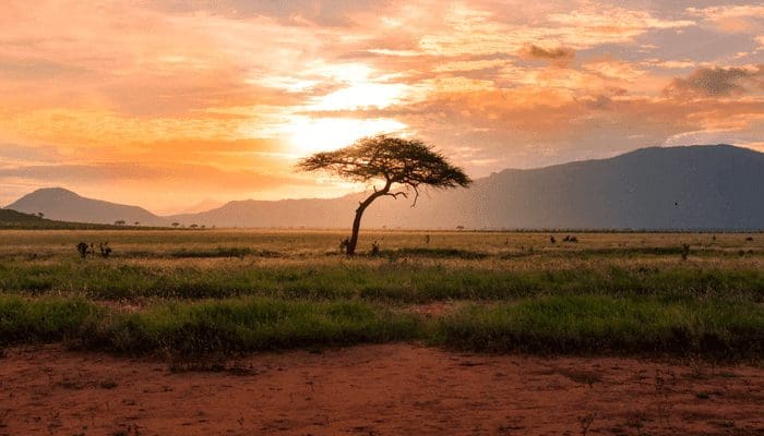 Cardano (ADA) oprichter We staan aan de vooravond van grote deals in Afrika