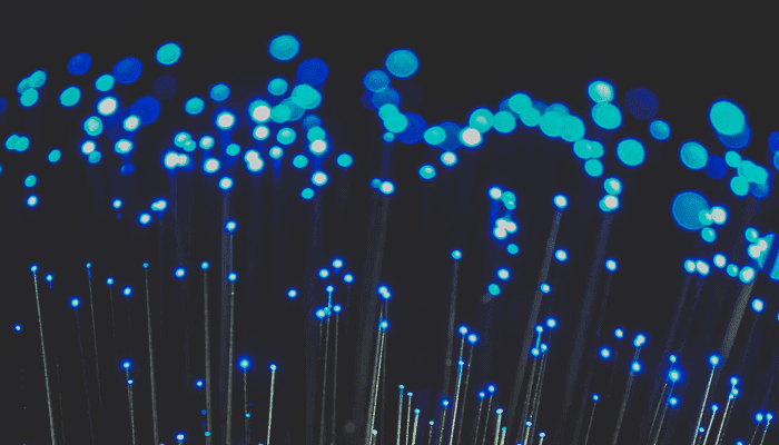 Cardano (ADA) staking adressen groeien weer hard, meer dan 50% in 5 maanden