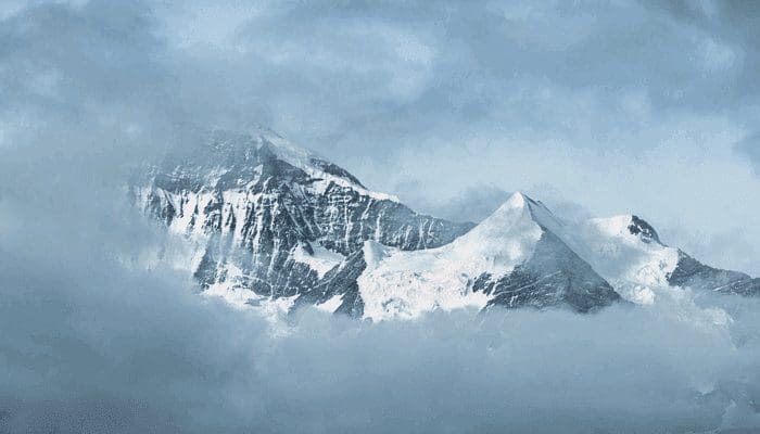 Ethereum (ETH) naar $45.000? Ark Investment's Cathie Wood heeft hoge verwachtingen