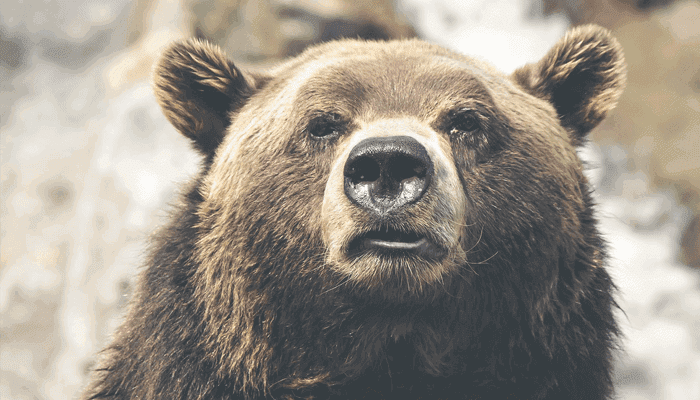 Is de bullmarkt ten einde? John bekijkt de bitcoin prijs crash