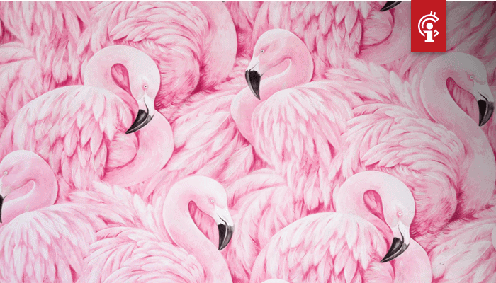 NEO concurreert met Ethereum en stapt DeFi in met lancering van Flamingo Finance (FLM)