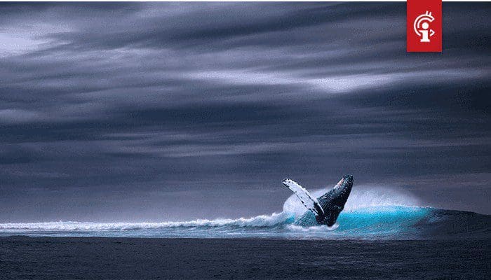 "Nieuwste Bitcoin-rally is te wijten aan manipulatie door Whales"