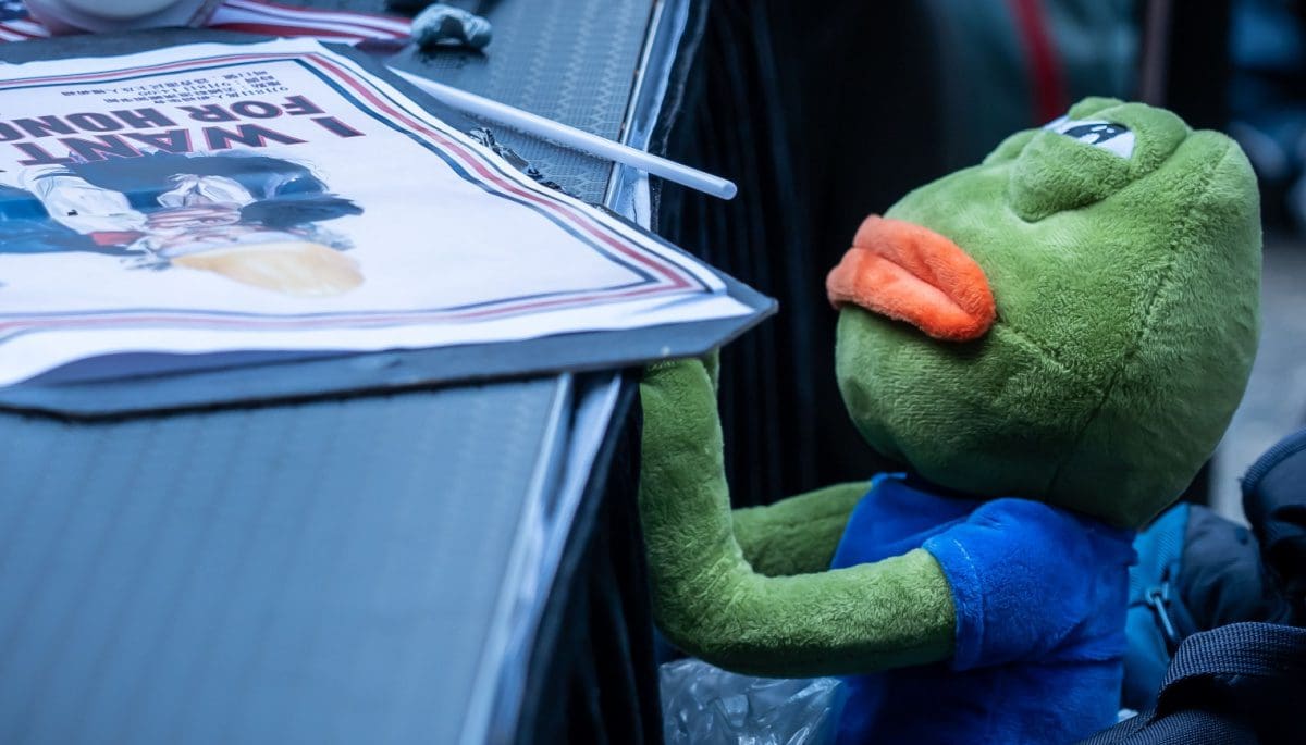 Man ziet $3,5 miljoen aan PEPE winst verdampen, dit ging er mis