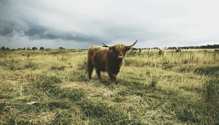 Ratio bitcoin en ethereum op crypto exchanges bereikt laagste punt in jaren, bullish voor de koersen