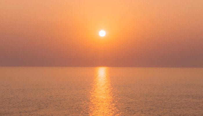 Solana (SOL), een Ethereum (ETH) concurrent, steeg dit jaar al meer dan 5.500%, wat verwachten analisten?