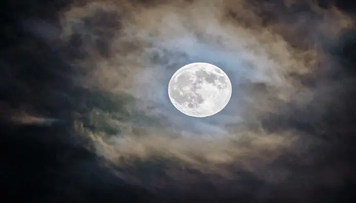WhatsApp-Image-2021-12-20-at-16.52.54 Video Nog 13 dagen voordat bitcoin 'to the moon' gaat