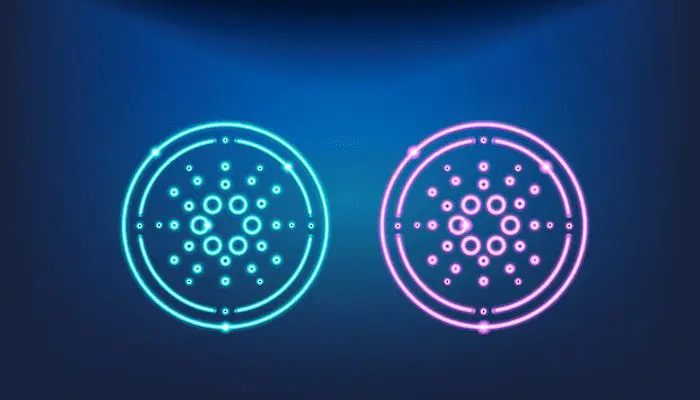 cardano-wallets-mijlpaal Aantal cardano wallets bereikt mijlpaal van 3 miljoen