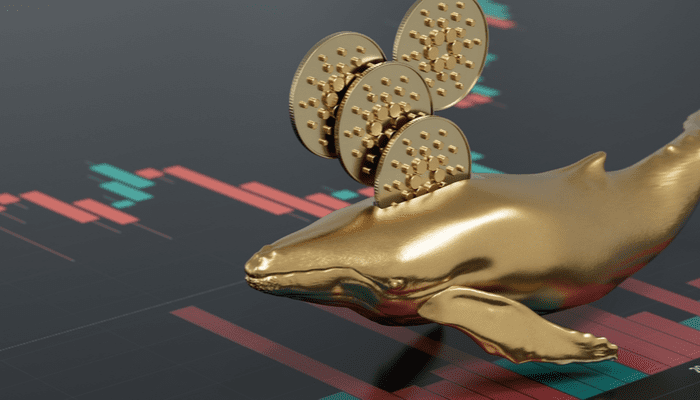 cardano-whale-1 Koerverwachting Cardano: de 4000 grootste Binance whales kopen ADA