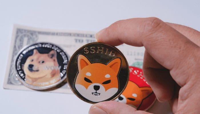 dogecoin-shiba-inu-populair Shiba Inu populairder dan dogecoin onder Europese investeerders