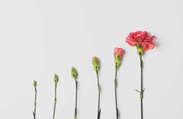 edward-howell-VlTJdP8ZY1c-unsplash-1 The Graph (GRT) maakt bounce op onderkant van het trendkanaal
