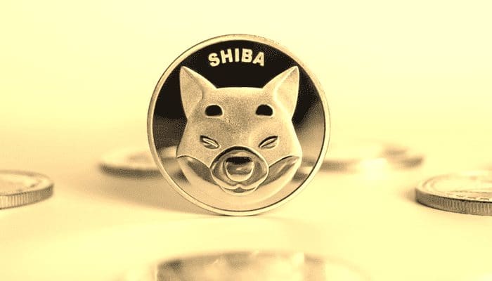 shiba-inu-metaverse Shiba inu kan eindelijk in metaverse gebruikt worden