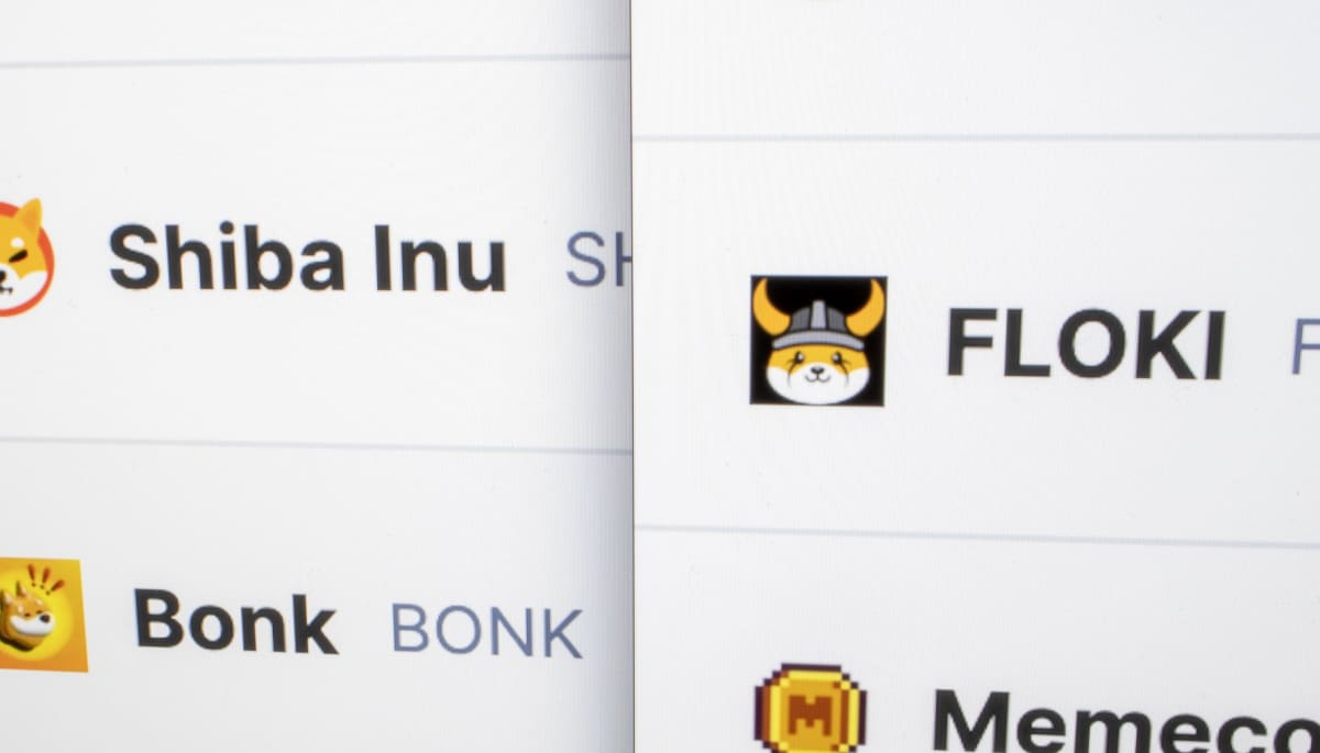 floki-nieuws-burn Floki crypto stijgt +300%, nieuws vanuit de community
