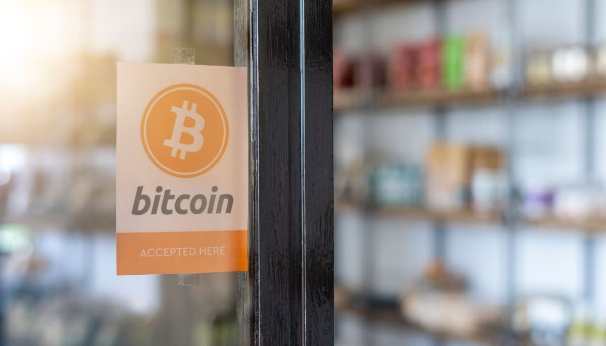 bitcoin-payment-store Bitcoin als Zahlungsmittel oder nur als Anlageprodukt?