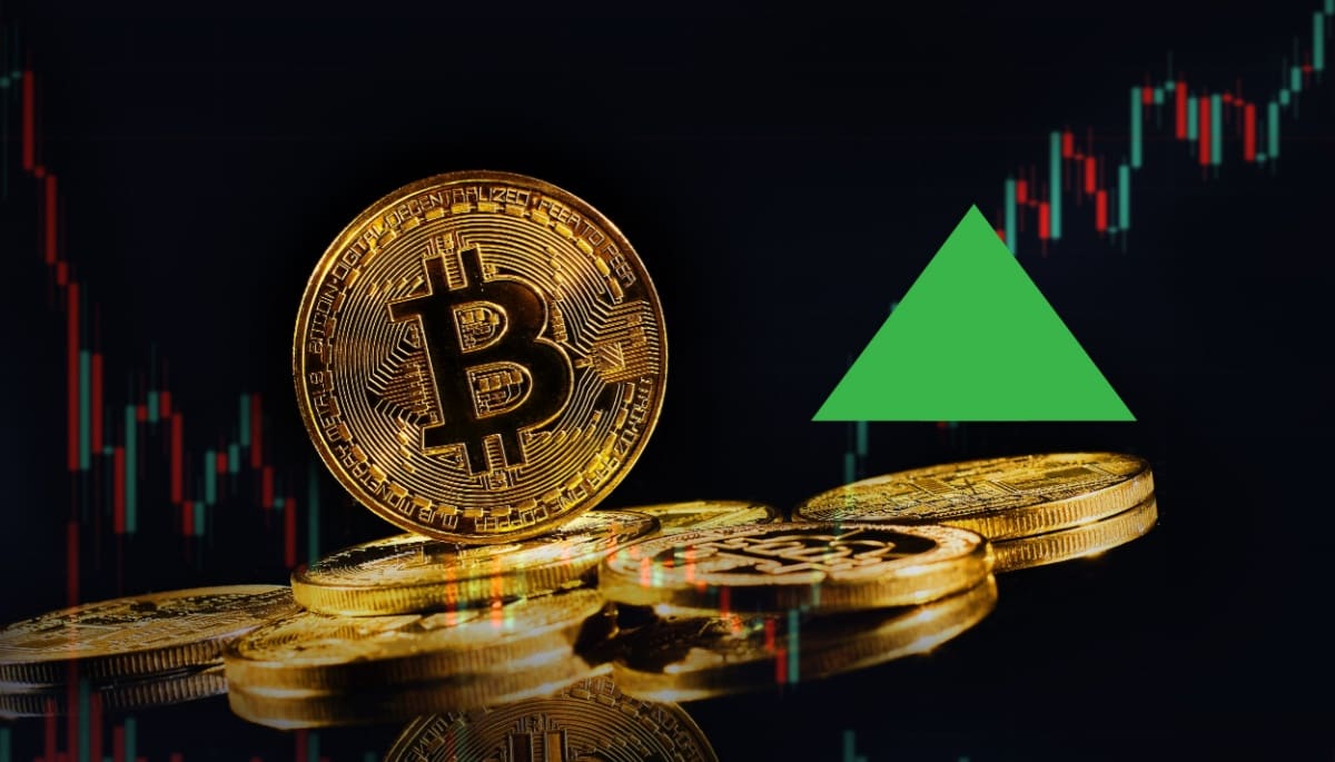 Duitsland koopt $111 miljoen aan bitcoin terug van cryptobeurzen