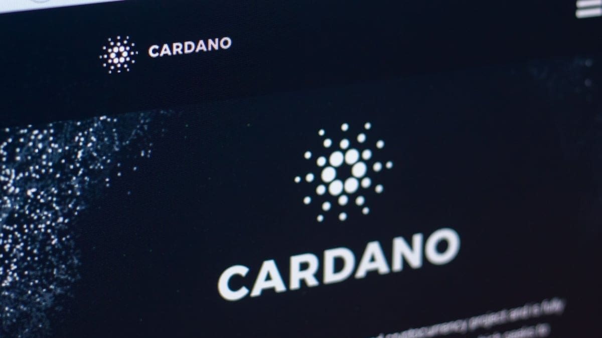 cardano-plomin-update Cardano lanceert grote netwerkupdate, 'een belangrijke mijlpaal'