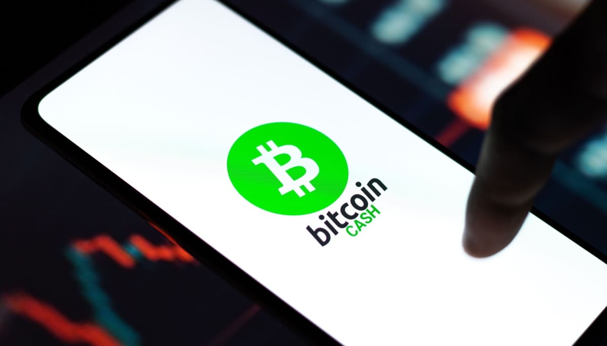 Bitcoin Cash vive un buen año mientras Bitcoin decepciona