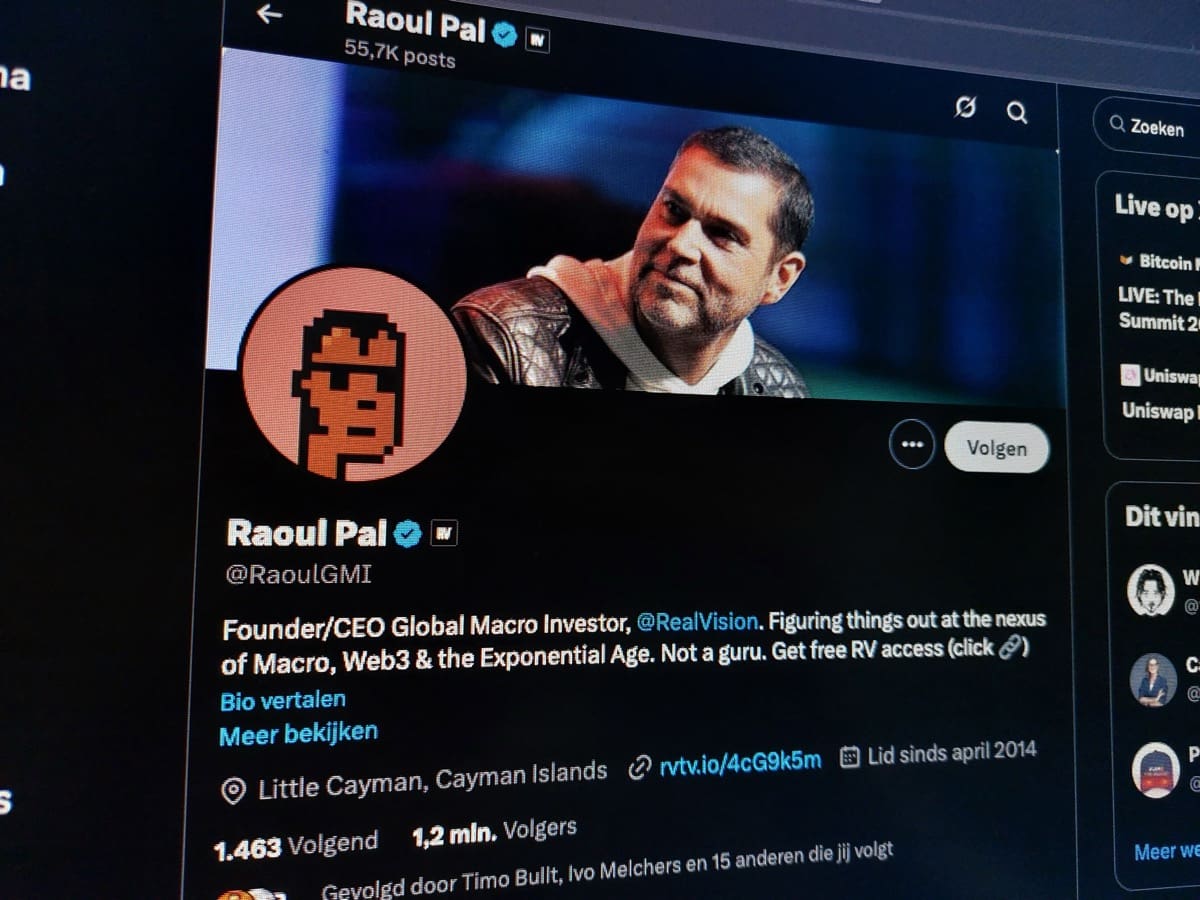 Een afbeelding van het X-account van Raoul Pal
