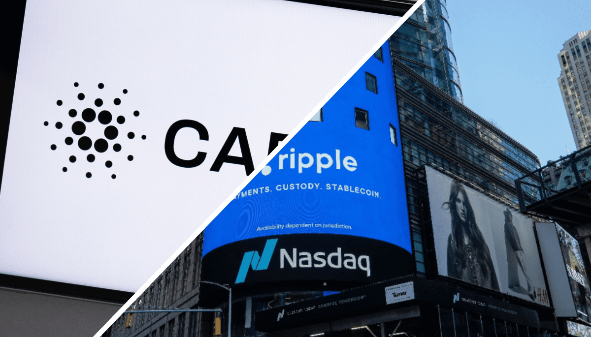 Harte Kritik an XRP & Cardano: "Sie bringen dem Krypto-Sektor keinen Mehrwert"