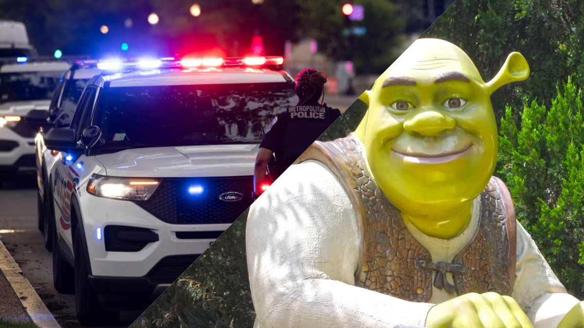 split-image (22) ‘Shrek’ blijkt spil in cryptozaak: politie ontdekt miljoenenfraude