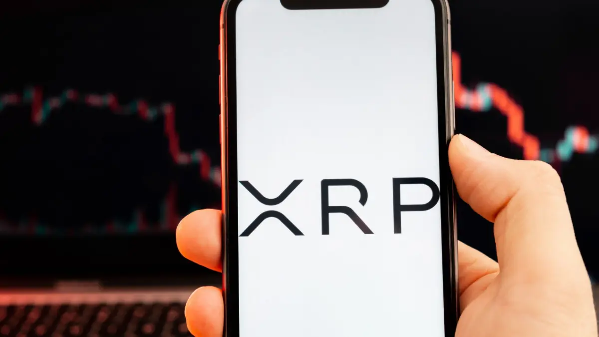 XRP wallets met meer dan 1 miljoen tokens groeien sterk deze maand
