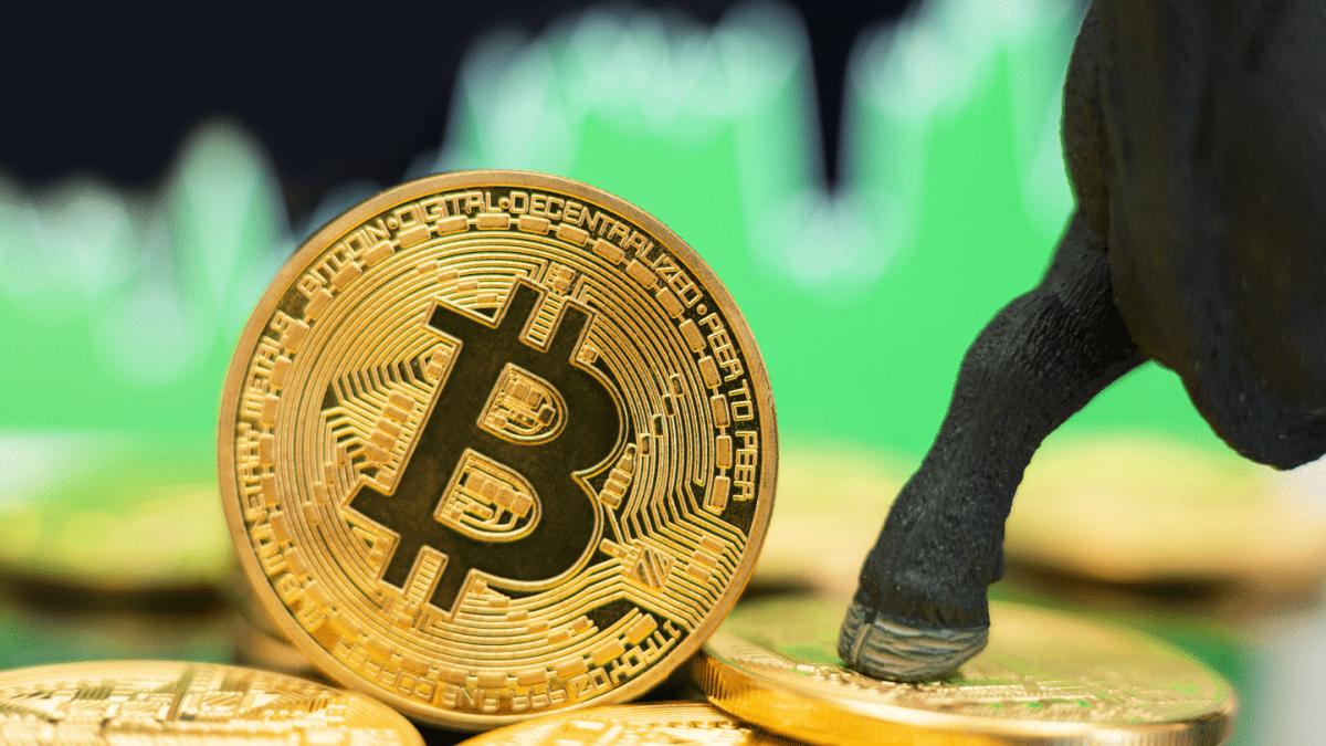 Bitcoin bullmarkt