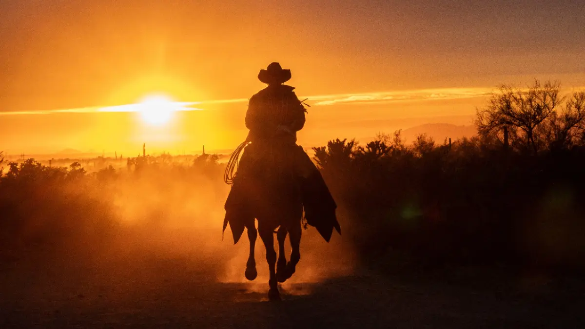 Idan Velleman: 'Het einde van het crypto-cowboy tijdperk'